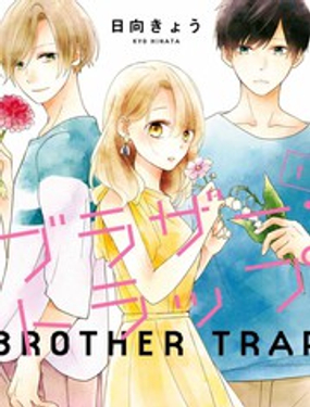 brother trap兄弟陷阱海报