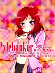 Pylebanker海报